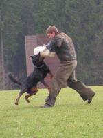 Angriff aus der Lauerstellung IPO Angriff aus der Lauerstellung IPO