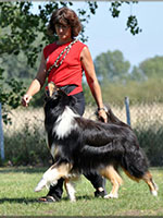 Freifolge Unterordnung IPO 1 Freifolge Unterordnung IPO 1