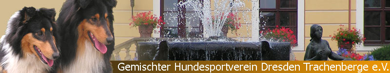 Banner Hundeausbildung Banner Hundeausbildung